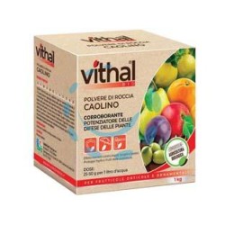 POLVERE DI ROCCIA CAOLINO VITHAL BIO