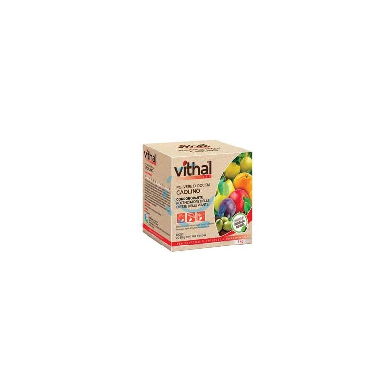 POLVERE DI ROCCIA CAOLINO VITHAL BIO