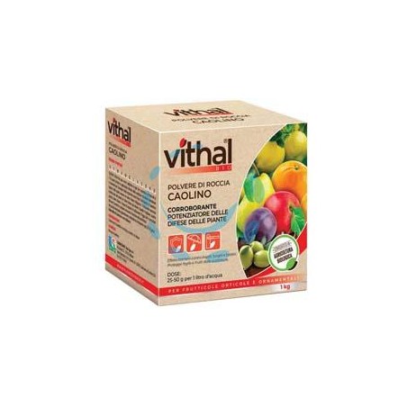 POLVERE DI ROCCIA CAOLINO VITHAL BIO