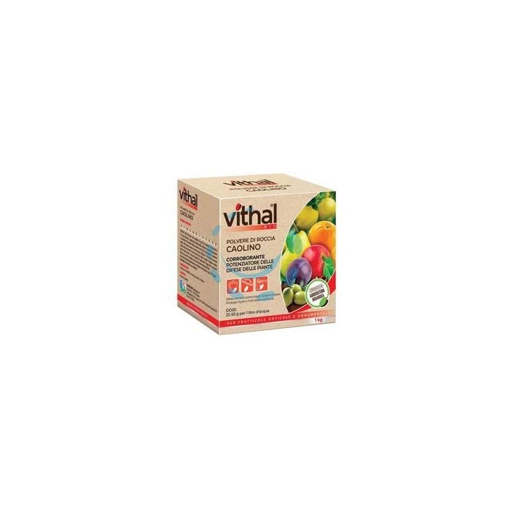 POLVERE DI ROCCIA CAOLINO VITHAL BIO