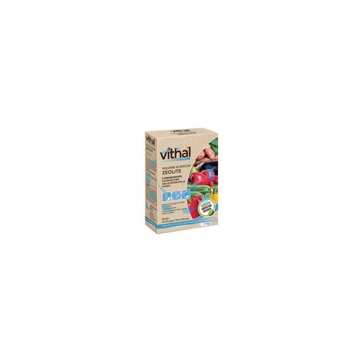 POLVERE DI ROCCIA ZEOLITE VITHAL BIO - kg.1