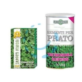 SEMI PRATO DICHONDRA REPENS - gr.100 per mq.10 di prato