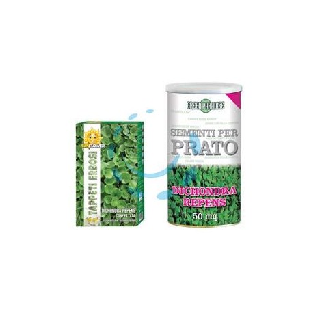 SEMI PRATO DICHONDRA REPENS - gr.500 per mq.50 di prato