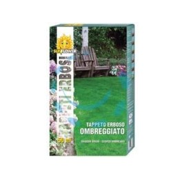 SEMI PRATO OMBREGGIATO - kg.1 per mq.50 di prato