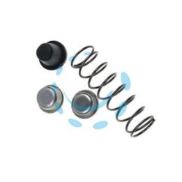 RICAMBIO PER FORBICE PRADINES R1068 - molla+ammort.+2 coperc. x P110-20 e P110-23