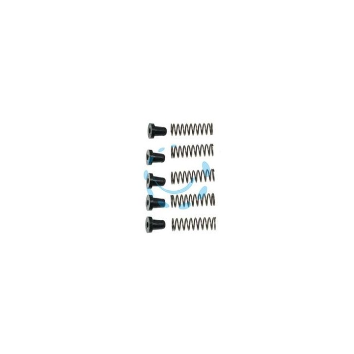 MOLLE + AMMORTIZZATORI PER COGLIUVA R1071 - 5+5pz (R1071)