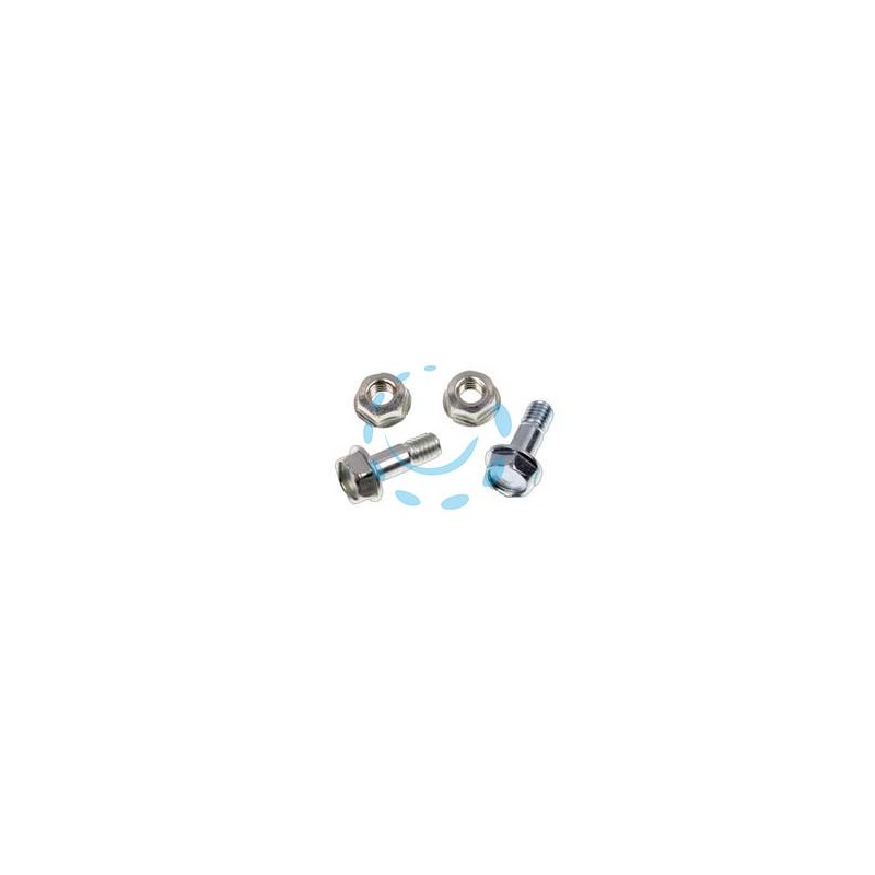 BULLONI E DADI PZ.4 PER TRONCARAMI - per P14 e P16 (R615V)