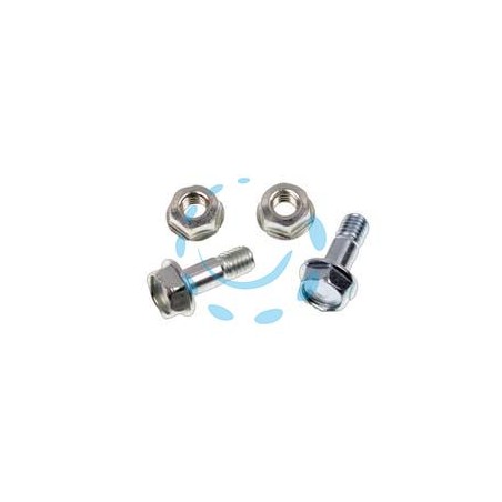 BULLONI E DADI PZ.4 PER TRONCARAMI - per P160 (R660V)