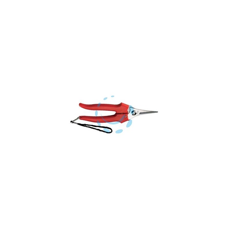 FORBICE RACCOLTA LAMA STRETTA - cm.19 - 31329