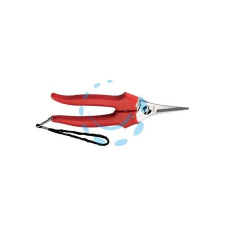FORBICE RACCOLTA LAMA STRETTA - cm.19 - 31329