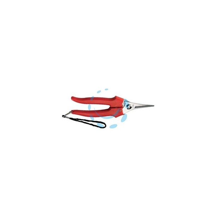 FORBICE RACCOLTA LAMA STRETTA - cm.19 - 31329