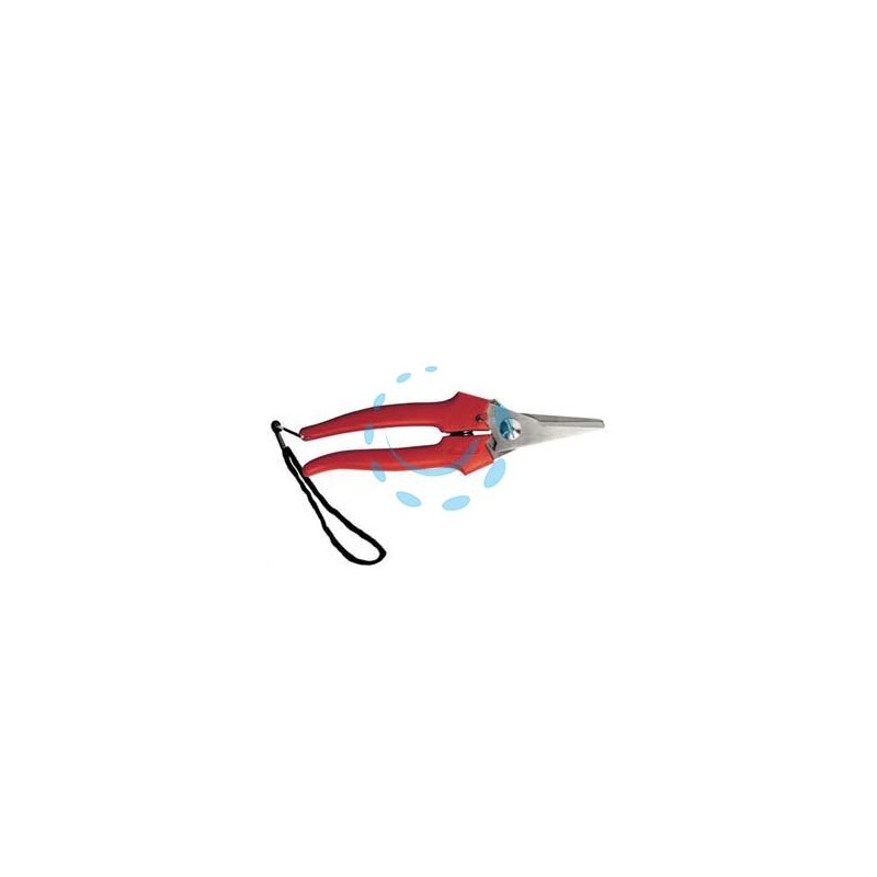 FORBICE RACCOLTA LAMA LUNGA - cm.19 - 31327