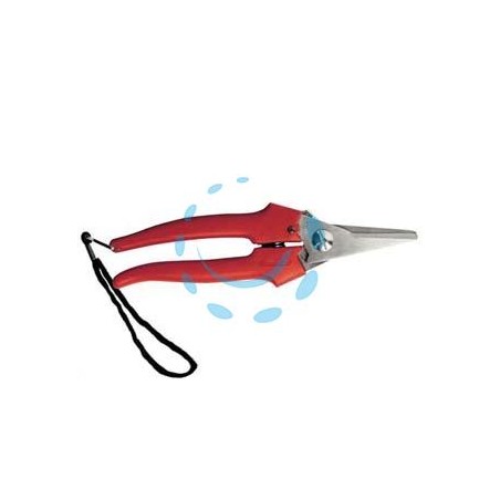 FORBICE RACCOLTA LAMA LUNGA - cm.19 - 31327