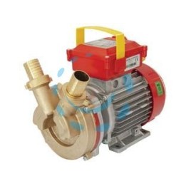 ELETTROPOMPA IN BRONZO BISENSO DA TRAVASO ROVER 30 CE 