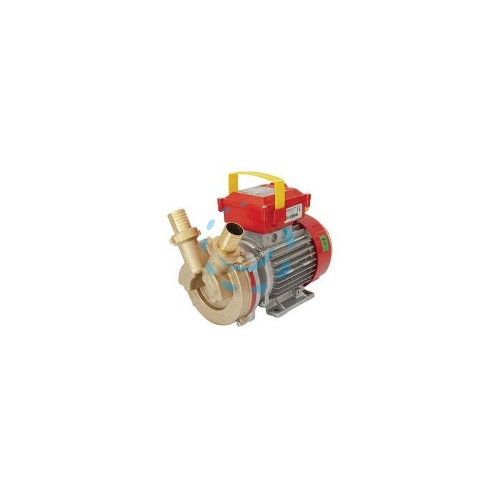 ELETTROPOMPA IN BRONZO BISENSO DA TRAVASO ROVER 30 CE 