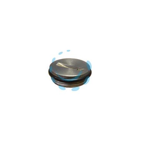 TAPPO IN ACCIAIO INOX PER FUSTI E SERBATOI INOX - 3/4"