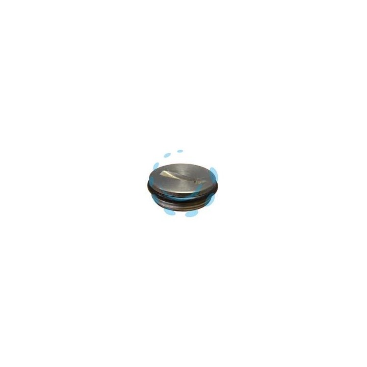 TAPPO IN ACCIAIO INOX PER FUSTI E SERBATOI INOX - 1"
