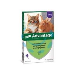 ANTIPARASSITARIO "ADVANTAGE" PER GATTI E CONIGLI OLTRE KG.4 - in conf. da 4 pipette SPOT-ON