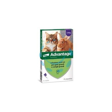 ANTIPARASSITARIO "ADVANTAGE" PER GATTI E CONIGLI OLTRE KG.4 - in conf. da 4 pipette SPOT-ON