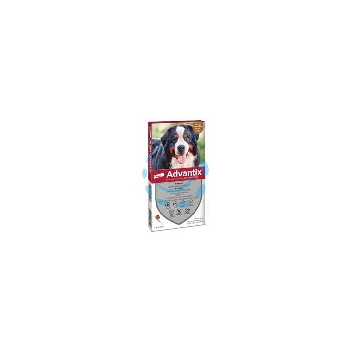 ANTIPARASSITARIO "ADVANTIX" PER CANI OLTRE KG.40 - in conf. da 4 pipette SPOT-ON