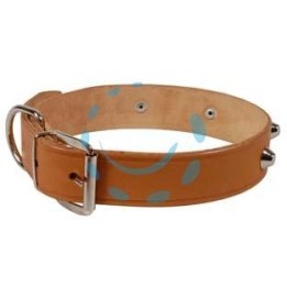 COLLARE PER CANI CUOIO EXTRA NATURALE FINTA CUCITURA CON BORCHIE - cm.56x3 cuoio naturale