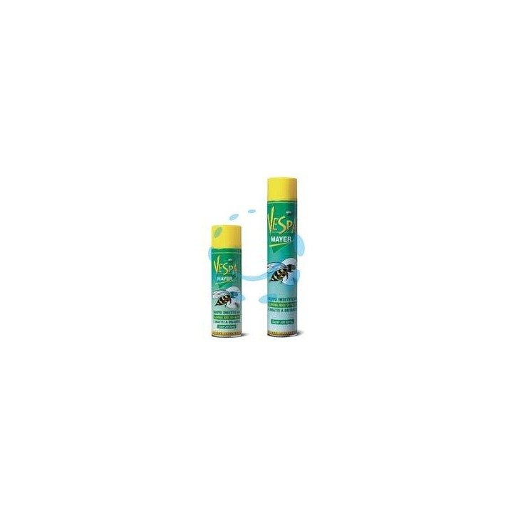 INSETTICIDA SPRAY PER VESPE E CALABRONI - ml.750 in bomboletta spray