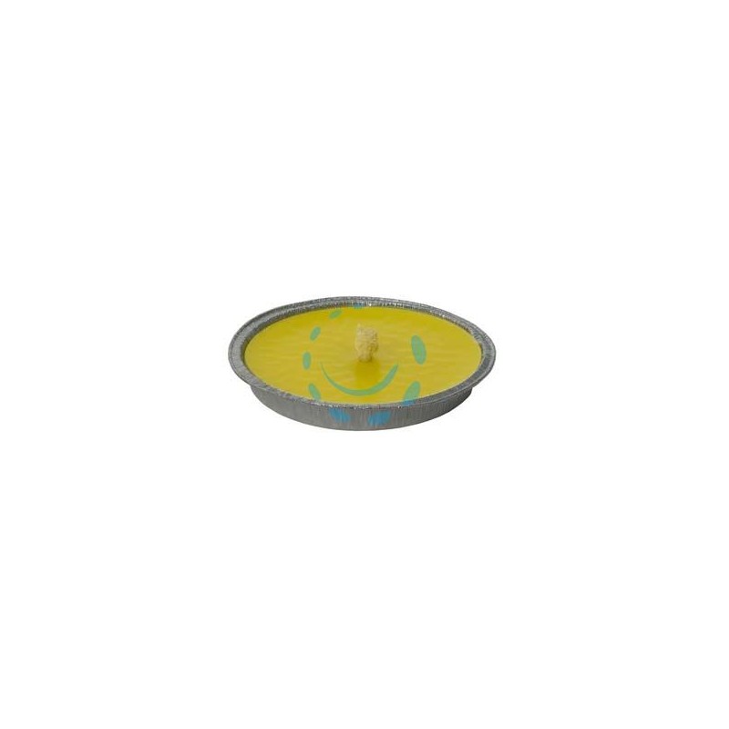 CITRONELLA GRANDE IN CIOTOLA DI ALLUMINIO - ø cm.16x2h.