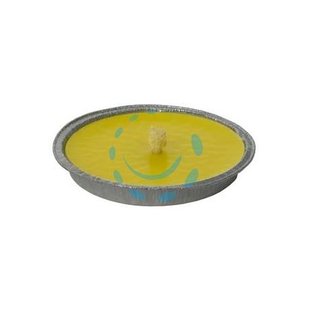 CITRONELLA GRANDE IN CIOTOLA DI ALLUMINIO - ø cm.16x2h.