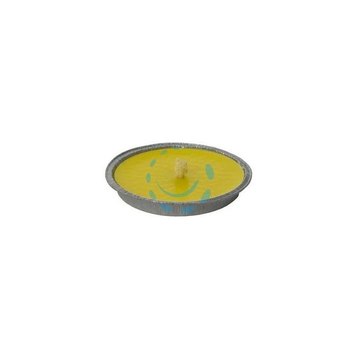 CITRONELLA GRANDE IN CIOTOLA DI ALLUMINIO - ø cm.16x2h.