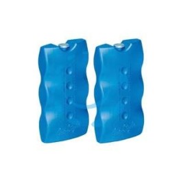 GHIACCIO SINTETICO PER GHIACCIAIE GR.400 X 2 - gr.400 cm.9×7x17,3 cm - pz.2