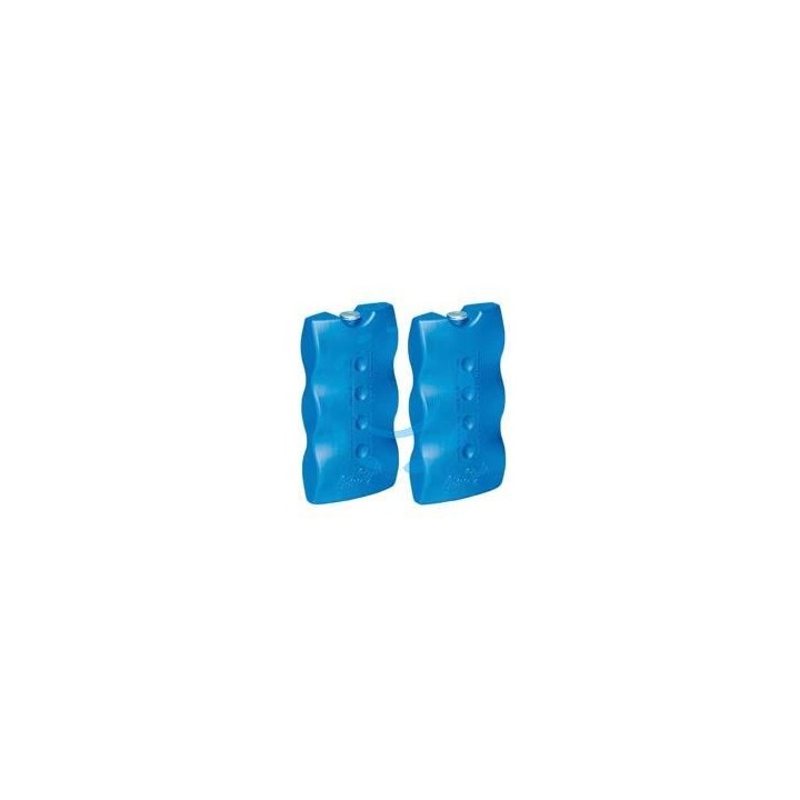 GHIACCIO SINTETICO PER GHIACCIAIE GR.400 X 2 - gr.400 cm.9×7x17,3 cm - pz.2