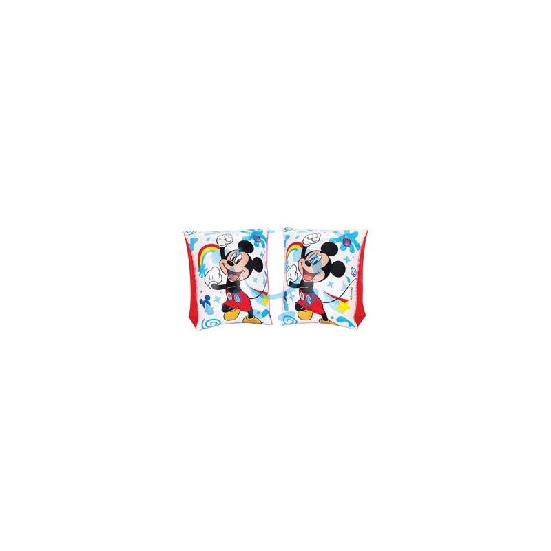 BRACCIOLI GONFIABILI "DISNEY" 3-6 ANNI - cm.23x15 - peso gr.170 (art.91002)