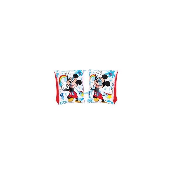 BRACCIOLI GONFIABILI "DISNEY" 3-6 ANNI - cm.23x15 - peso gr.170 (art.91002)