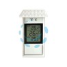 TERMOMETRO PLASTICA MIN/MAX DIGITALE - bianco - mm.150x80