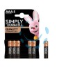 PILA SIMPLY MINISTILO (AAA) BLISTER PZ.5 