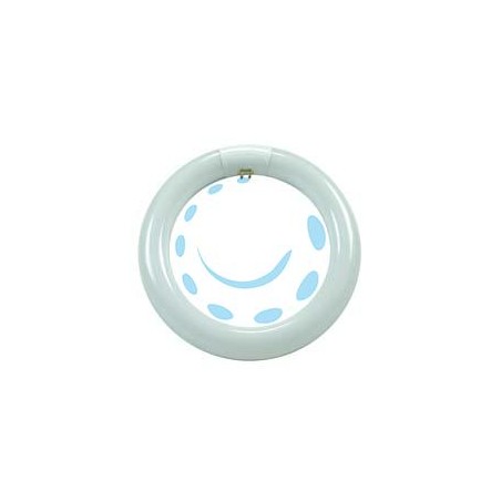 CIRCOLINE TRIFOSFORO FLUORESCENTI T9 G10Q - 40w - 6500°K fredda - 2800 lm - 406x30