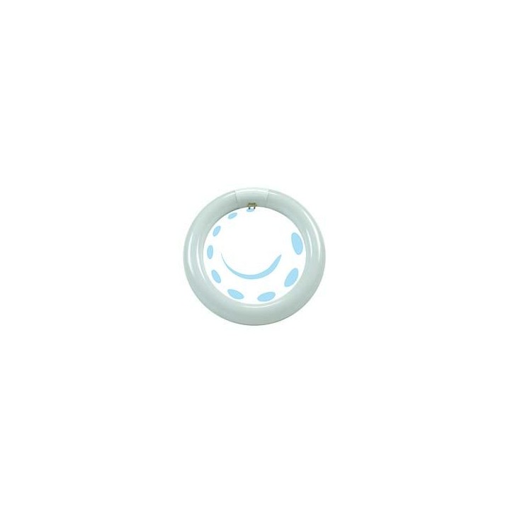 CIRCOLINE TRIFOSFORO FLUORESCENTI T9 G10Q - 40w - 6500°K fredda - 2800 lm - 406x30