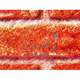 PLASTICA ADESIVA MATTONE RUSTICO (280-2158) - cm.45h. in rotoli da mt.15