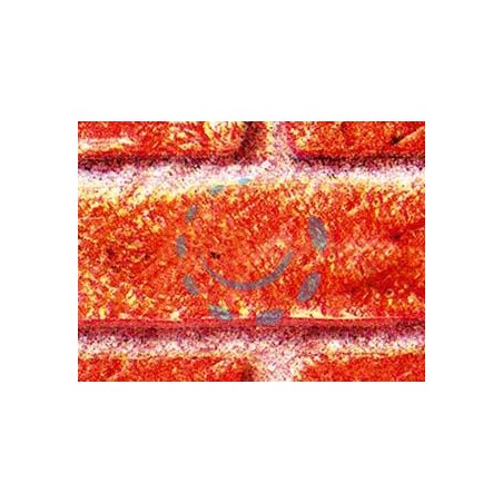 PLASTICA ADESIVA MATTONE RUSTICO (280-2158) - cm.45h. in rotoli da mt.15