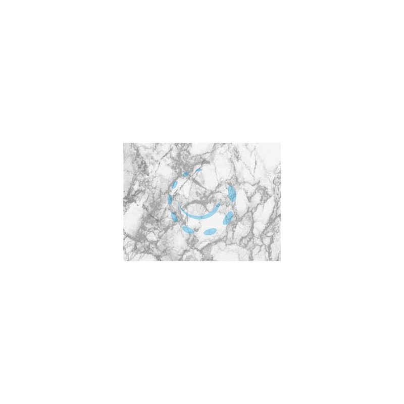 PLASTICA ADESIVA MARMO GRIGIO (280-2256) - cm.45h. in rotoli da mt.15