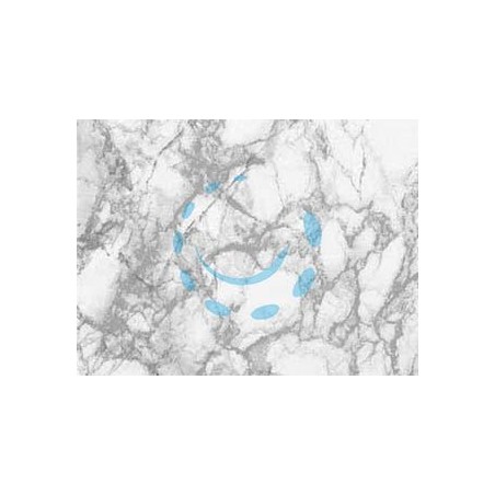 PLASTICA ADESIVA MARMO GRIGIO (280-2256) - cm.45h. in rotoli da mt.15