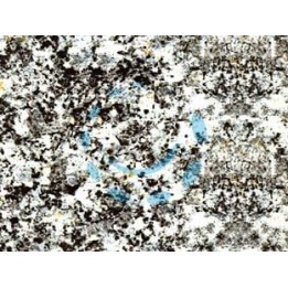 PLASTICA ADESIVA GRANITO GRIGIO (280-3162) - cm.45h. in rotoli da mt.15