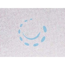 PLASTICA ADESIVA TRASPARENTE OPACO (280-2528) - cm.45h. in rotoli da mt.15