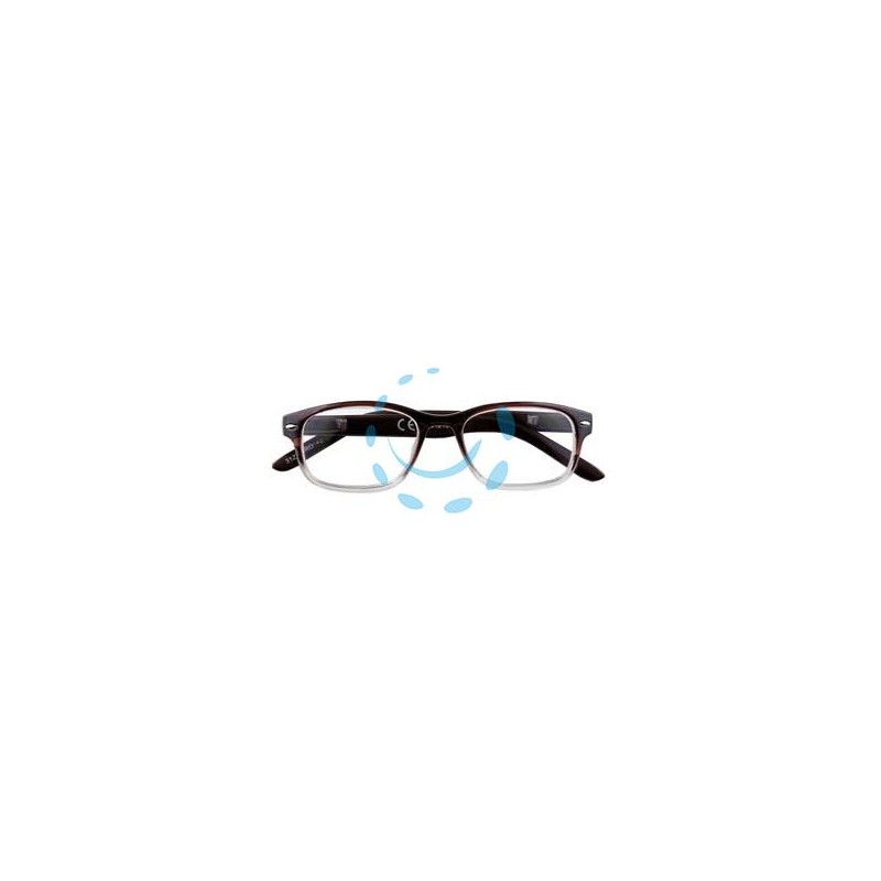 OCCHIALE LETTURA MONTATURA POLICARBONATO MARRONE SFUMATO B1 - diottrie +2,5 - 31Z-B1-BRO250