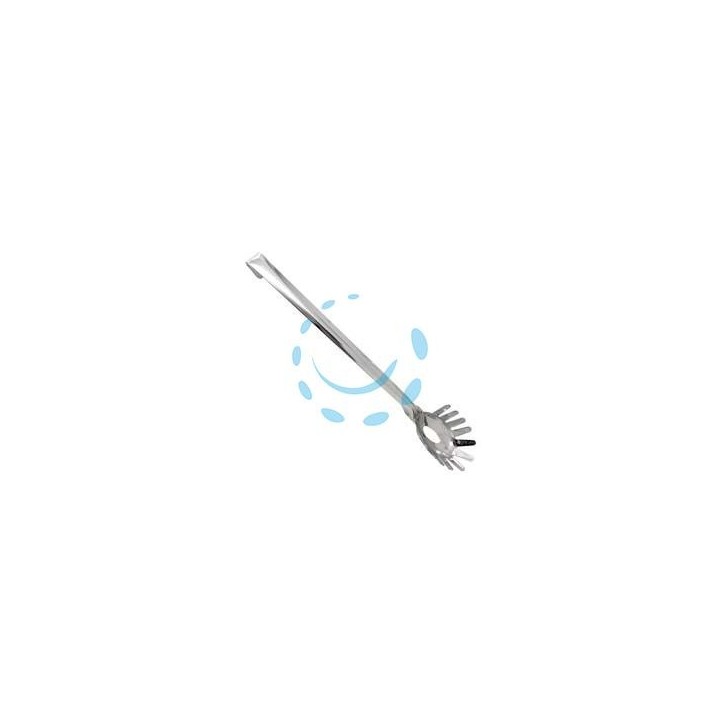 SERVISPAGHETTI IN ACCIAIO INOX 
