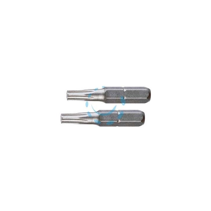 INSERTI TESTA TORX IN BLISTER PER AVVITATORI MM.25 - mm.25 TORX TX 15 in blister 2pz.