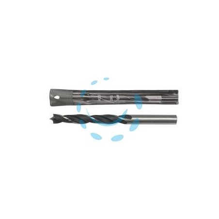 PUNTE PER LEGNO RETTIFICATE - ø mm.12 codolo ridotto mm.10