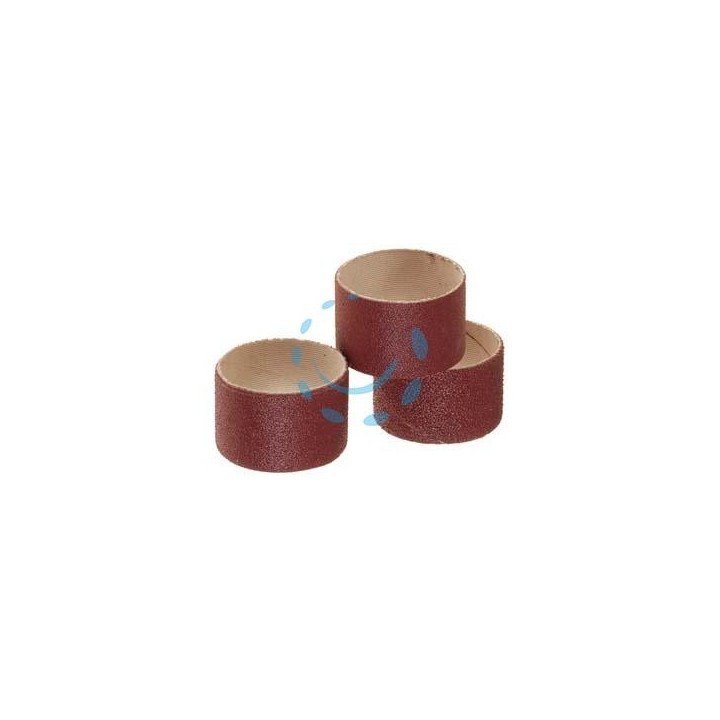 ANELLI ABRASIVI PER SUPPORTI AD ESPANSIONE - ø mm.45x30, blister pz.3 PG 357.90