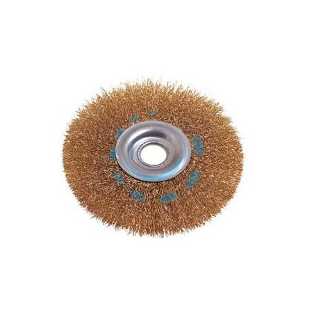 SPAZZOLA A DISCO CIRCOLARE CON FORO - ø mm.100 foro mm.13 PG 486.00