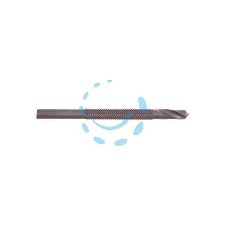PUNTA-FRESA-RASPA HSS ROTATIVA PER LEGNO E METALLO - mm.6x85 PG 445.00